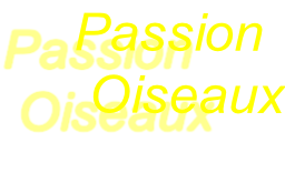 Passion  Oiseaux